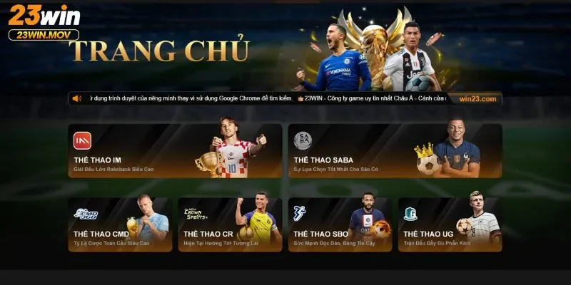 Tổng Quan Về Cá Cược Thể Thao 23win